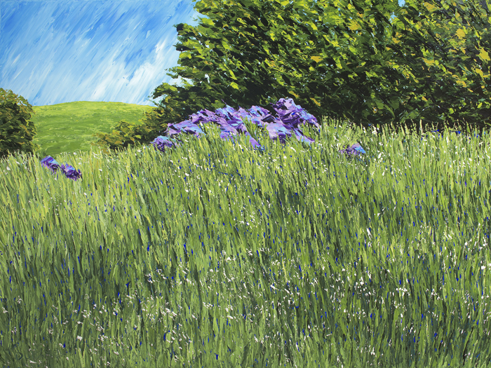 Landscape, Pasture series, El Dorado County